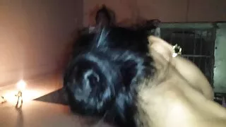 الدهنية الأمين يحصل مارس سكس جديد مترجم عربي الجنس على الطاولة