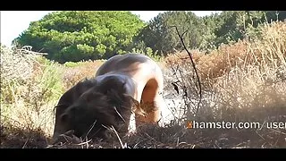 جسمي مثير الأسود و الأبيض القبيح الفاسقات على سكس عربي مترجم جديد استعداد أن يكون مارس الجنس من قبل الرجل